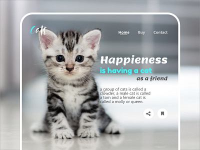 Home Cats cats cats web design modern ui website new concept ui web webdesign website