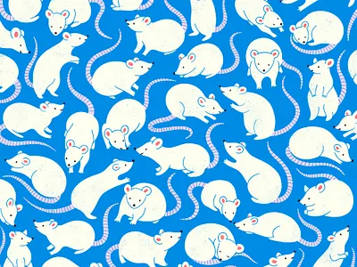 Aw Rats! animal cute illustration pattern pattern design procreate texture