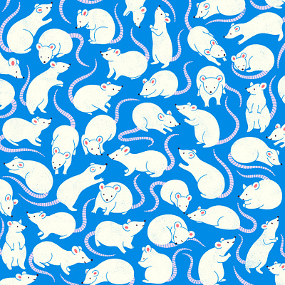 Aw Rats! animal cute illustration pattern pattern design procreate texture