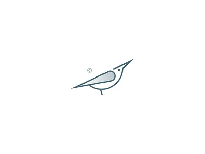 Bird branding design icon illustration logo vector