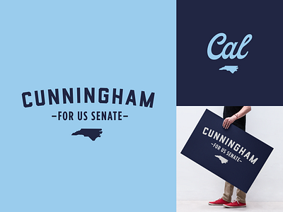 Senate Logo Option 4 branding campaign election logo political campaign politician politics poster senate