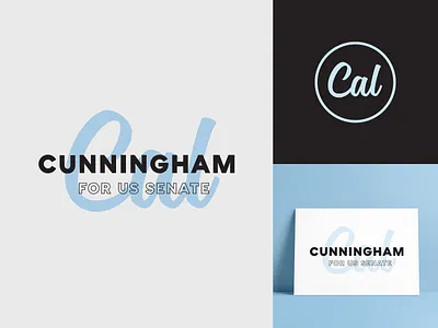 Senate Logo Option 5 branding elections logo north carolina political campaign politician politics senate