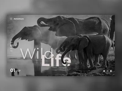 Website UI Design design frontend illustration ui ux web webdesigner website