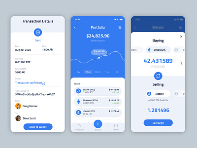 CryptoNet app branding design ui ux web