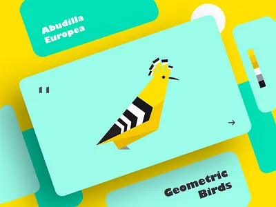 Abudilla Europea | Geometric Birds art bird clean colors creative design dribbble effect flat geometry graphic design illustration illustrator shadow shot typography ui ux