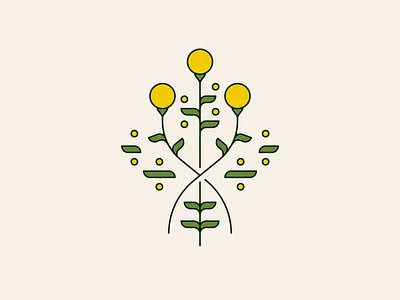 billy buttons billybuttons craspedia flower flowers illustration