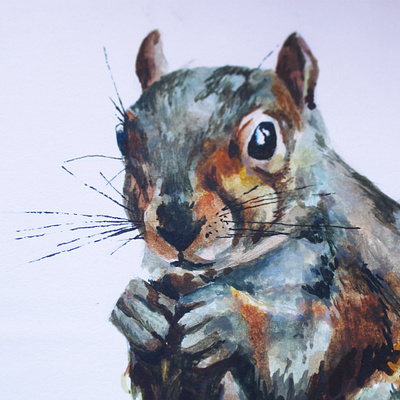 Grey squirrel detail colour creativity design detail fur graphicdesign grey handdrawn handpainted illustration nature photography squirrel squirrel logo texture watercolor watercolour illustration watercolour painting wild animals wildlife