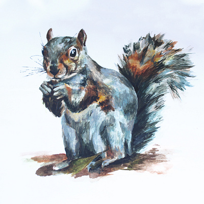 Grey Squirrel Illustration colour craft craftmanship design graphicdesign grey handpainted illustration nature nature art photography squirrel squirrel logo technique texture watercolor watercolour illustration watercolour painting wildlife