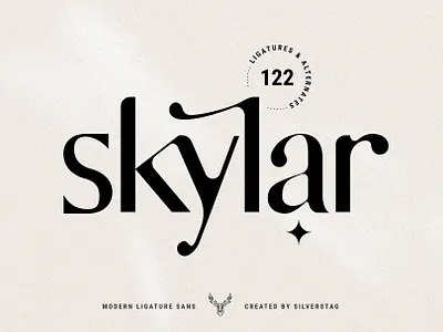 skylar - modern ligature sans font creative creative market elegant instagram instagram pack instagram stories modern products social media social pack