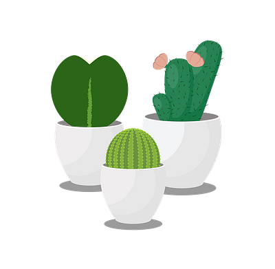 Trio of Succulents adobe art cactus cute cute art design flaticon hoya hoyakerrii icon illustration illustrator logo plants succulents vector