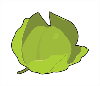 Tomatillo color illustration lineart mexican mexican food texas texmex tomatillo