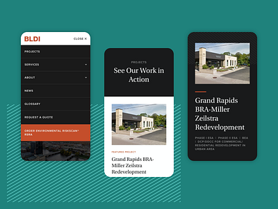BLDI Mobile accessible design city design engineering environmental grand rapids layout michigan mighty moble projects ui web web design