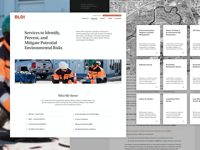 BLDI Services accessibility design cards city design engineering environmental grand rapids layout michigan mighty services ui web web design
