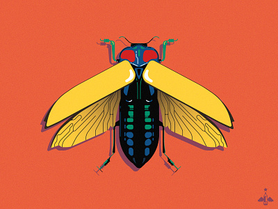 Daily Doodle Exercise - Colorful Beetle beetle blue bug color contrast daily art daily doodle daily illustration daily illustrations daily vector flat design geometric graphic design green insect nature orange product design wings yellow