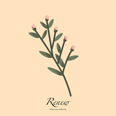 Renew: The Arauz Collective design digital art flower flower illustration graphic illustration rosebud