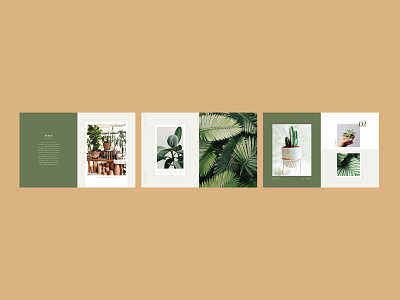 Olive+Botanica Catalog catalog catalog design catalogue design editorial editorial design layout plant plant catalog plant lady