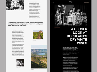 Wine magazine alcohol homepage langind page magazine sketch typogrpahy ui ux web design website wine