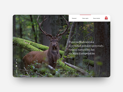 Danwood Story — homepage animal białowieża danwood homepage house houses nature puszcza puszcza białowieska syzygy syzygywarsaw tradition web design webdesign website