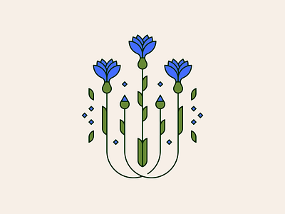 cornflower cornflower flower flower illustration illustration