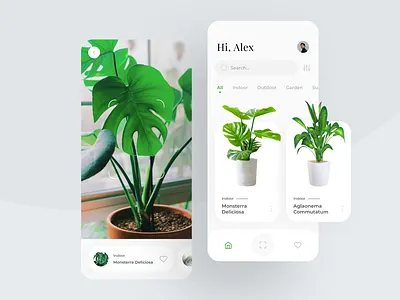 Plant Identifier App app cards ui greenery hobby identifi indoor iphone 11 pro mobile ui monstera nature plant plants pot scan scanner search bar slider ui vegetation white