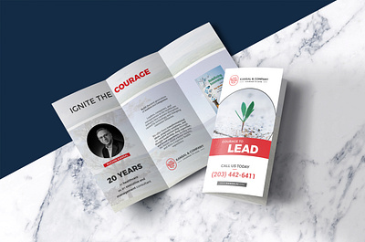 Trifold brochure design brand branding brochure coaching consultancy consulting creative design entrepreneur entrepreneurship graphic design healthcare management modern print print design trifold trifold brochure ui zfold