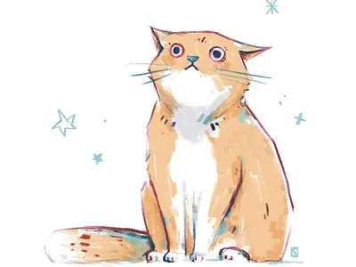 cat doodle cat character childrensbook crayon cute cute animal doodle drawing illustration kids postcard stars