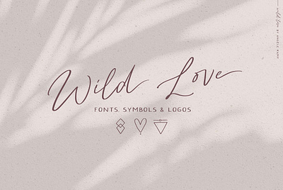 Wild Love Fonts + Symbols & Logos branding design font fonts graphic design handmade font handwriting handwriting font handwriting fonts handwritten handwritten font icons logo logo design logos logotype logotypes script font signature font symbols