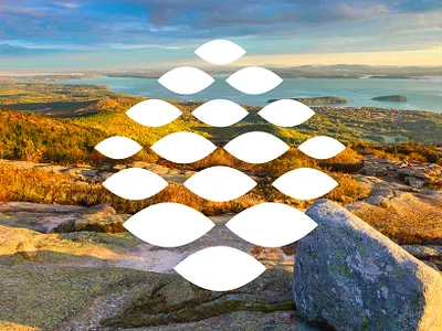 Northern Light Health brand identity brochure mockup hospital infographic logo maine