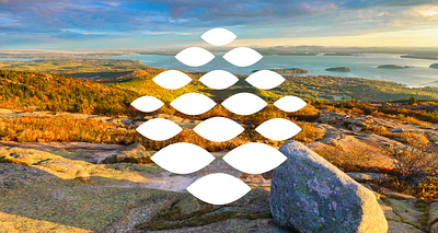 Northern Light Health brand identity brochure mockup hospital infographic logo maine