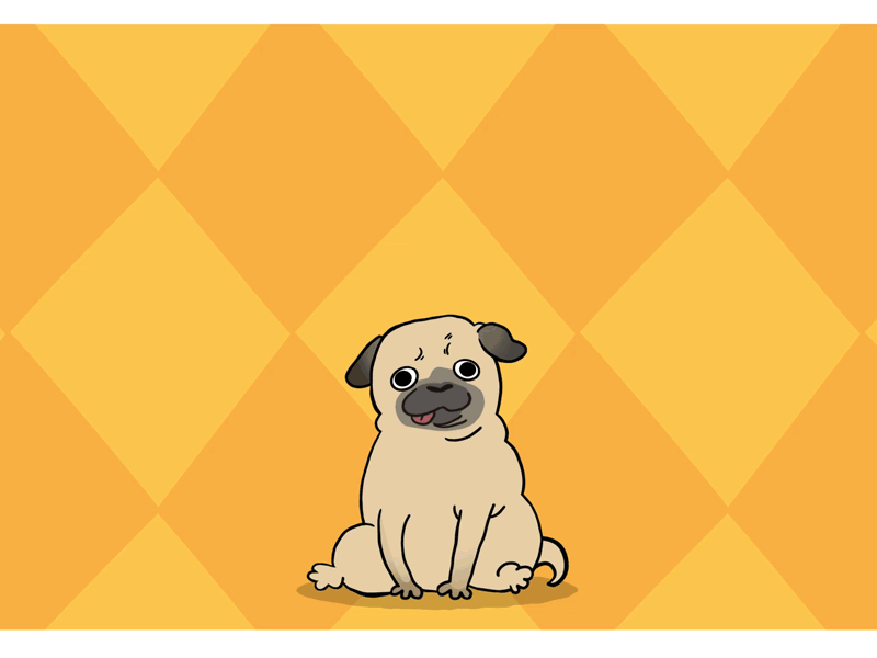 pugs! 2d animation after effects animation animation character animation character illustration characters dogs pugs