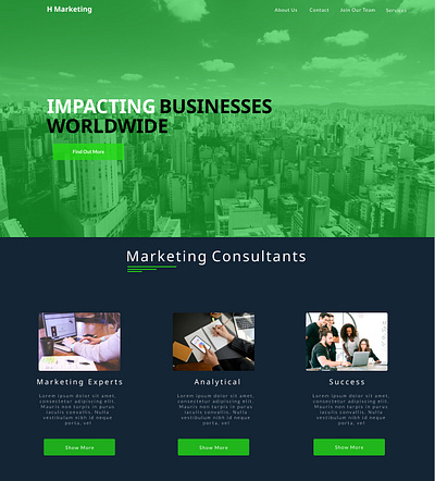 Marketing Consultant Company design green redesign concept ui ux web web design webdesign