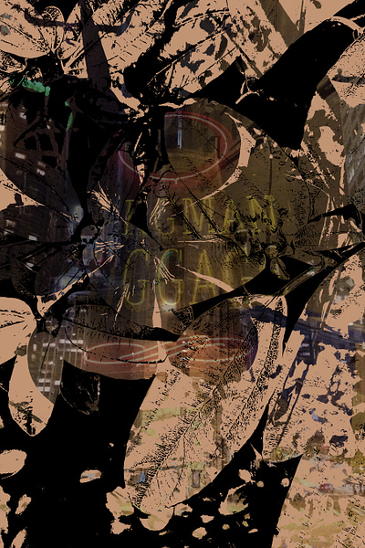 From the Streets black tan vector vector art