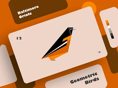 Baltimore Oriole | Geometric Birds art bird clean colors creative design dribbble effect flat geometry graphic design illustration illustrator shadow shot typography ui ux
