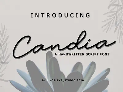 Candia Sript Font design display elegant font fonts funny handmade handwriting handwritten illustration logo logos playfull quotes typeface wedding invitation
