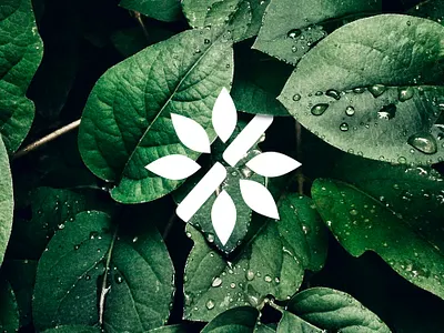 Green Bamboo Logotype bamboo brand branding brands clean clean design design green leaf logo logotype minimalism nature