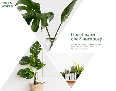 Интернет-магазин комнатных растений design figma landing page minimal photoshop tilda typography ui ux web website