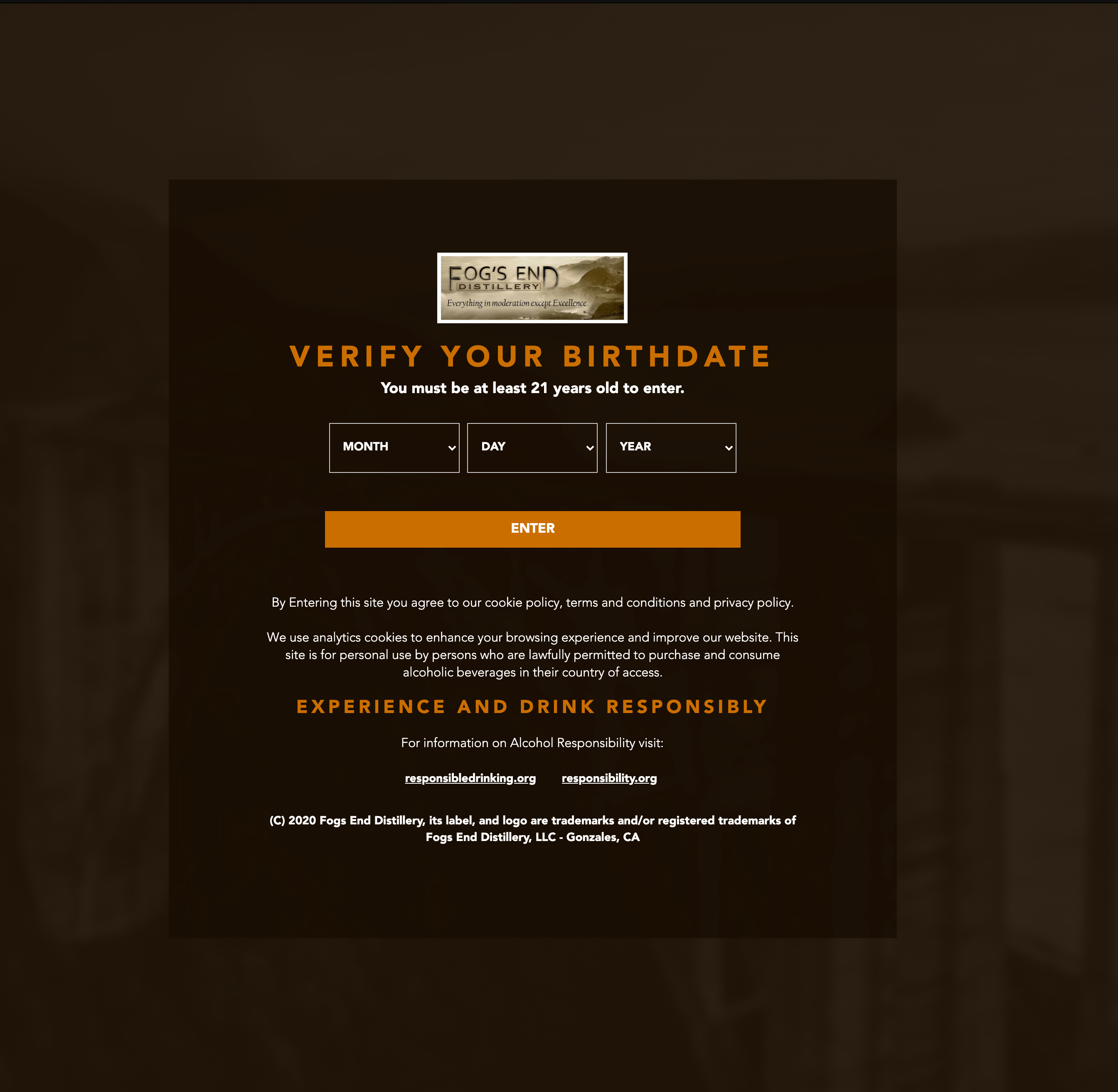 Example of Age Verification Modal design in Webflow