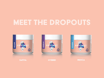 Meet The Dropouts brand design brand illustration copywriting creative direction design illustration logo