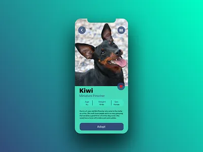 Daily UI 006 User Profile 006 daily dailyui design dog dogs pet adoption pet app pets ui user profile ux