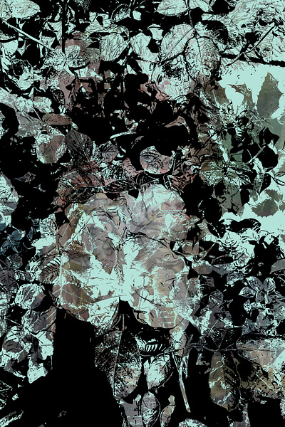 Poles black mint vector vector art