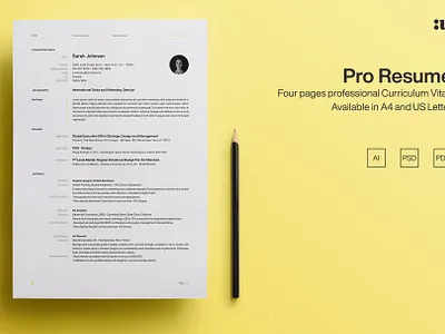 Pro Resume Template clean resume creative resume curriculum vitae cv cv template modern modern resume professional resume resume template template
