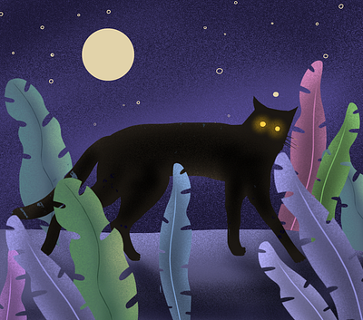 Cat at night illustration illustration art illustrator art procreate