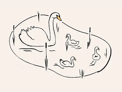 Swans illustration
