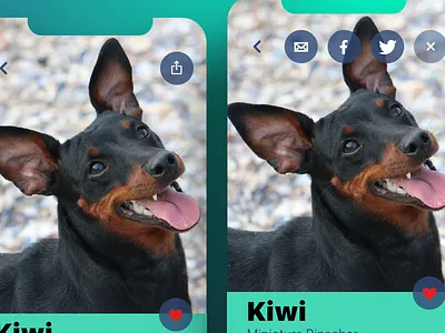Daily UI 010 Social Share 010 app design daily dailyui design pet pet adoption social social share ui ux