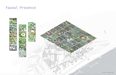 Mapping systems .1 cambridge cartography collage fauna flora gis maps urban design