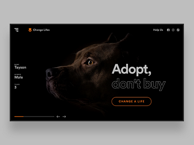 Web UI Inspiration - N. 12 - Change Life adopt carousel cat dog hero hero banner inspiration inspires landing page pet responsive slider ui ux web design web page