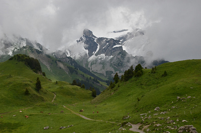 Alpine Meadow Oil Painting alp alpine alps high pasture mixedmedia pasture swiss switzerland