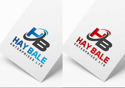 HAY BALE LOGO brand branding company logo design illustration illustrator logo logos typography vector