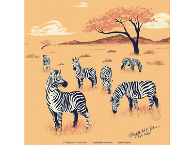 Zebras africa animal art digital art digital illustration huely huely challenge huely2020 illustration limited colour palette limited colours savanna zebra zebras