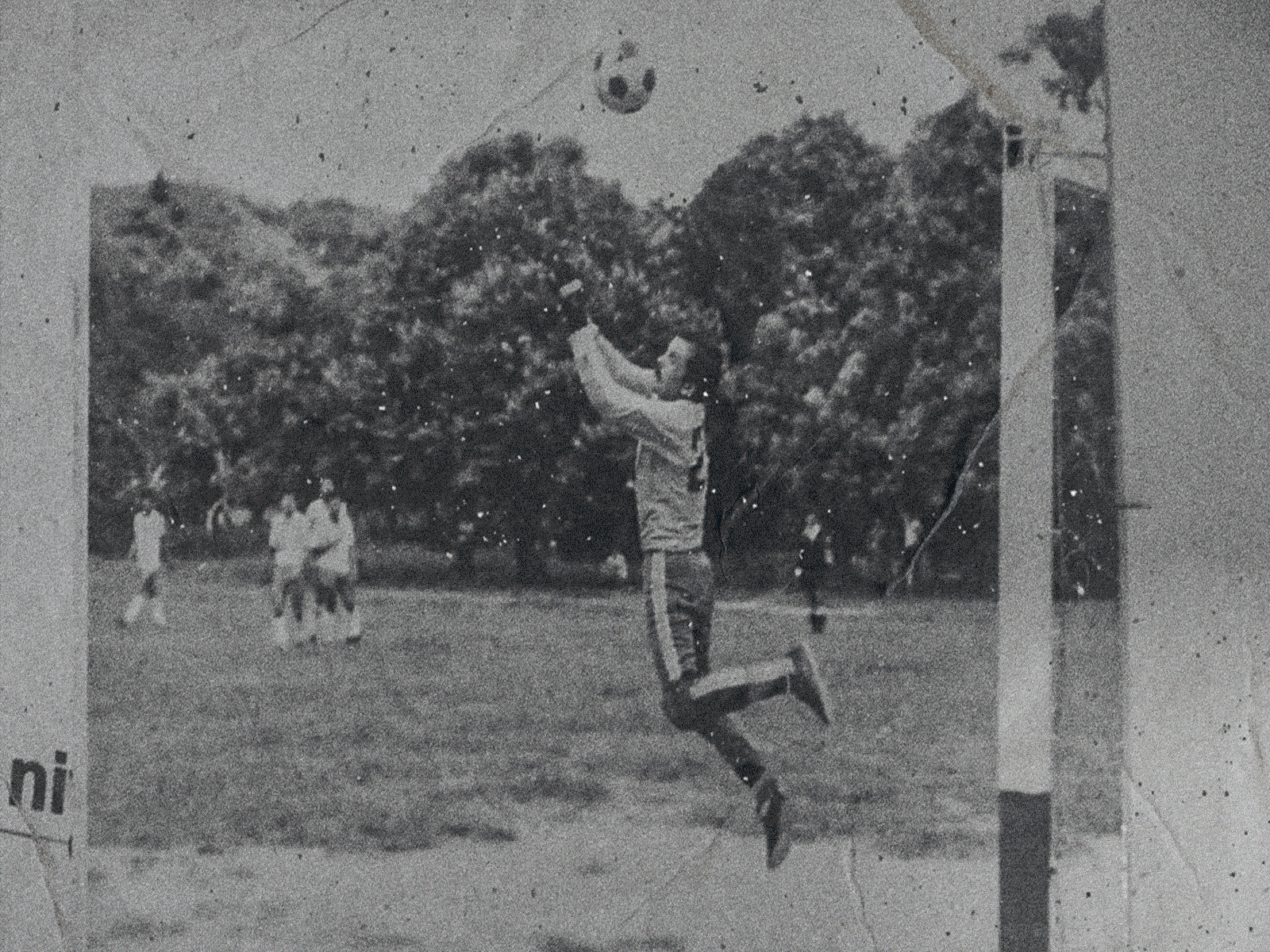 El Chato - Mexican Lettering behance colors composition culture design design art gif graphic design latin america lettering mexican mexican art mexican culture mexico photoshop poster texture typeface typo typography